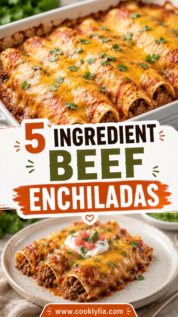 5 Ingredient Beef Enchiladas