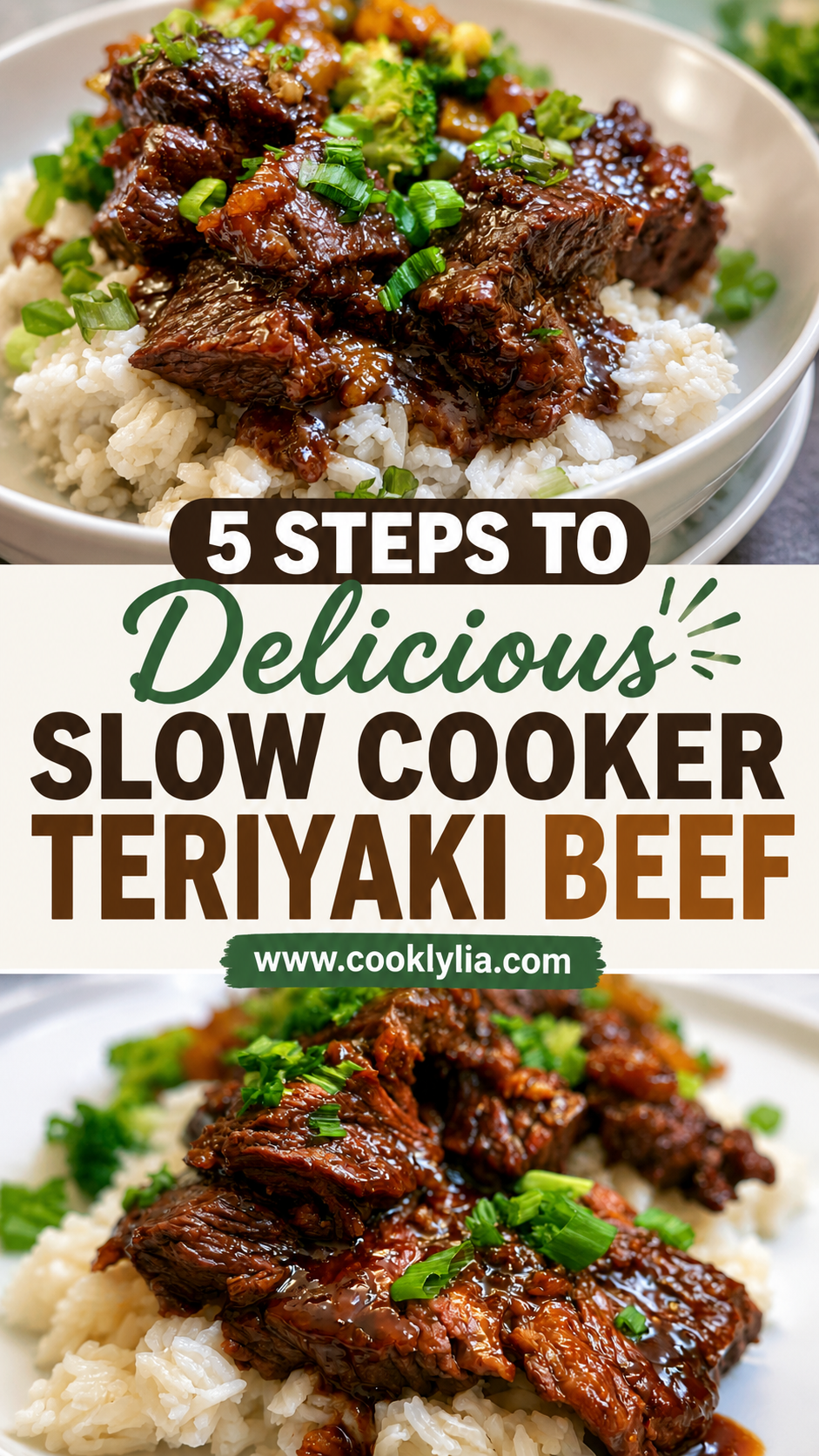 Delicious Slow Cooker Teriyaki Beef