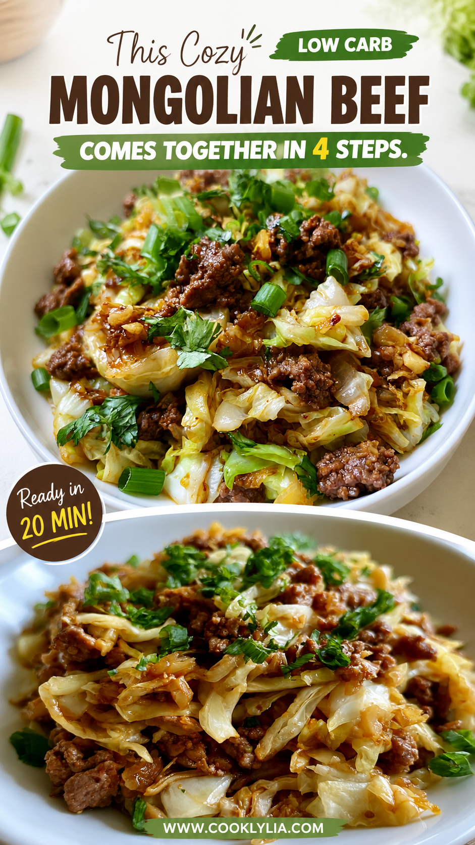 low carb mongolian beef and cabbage