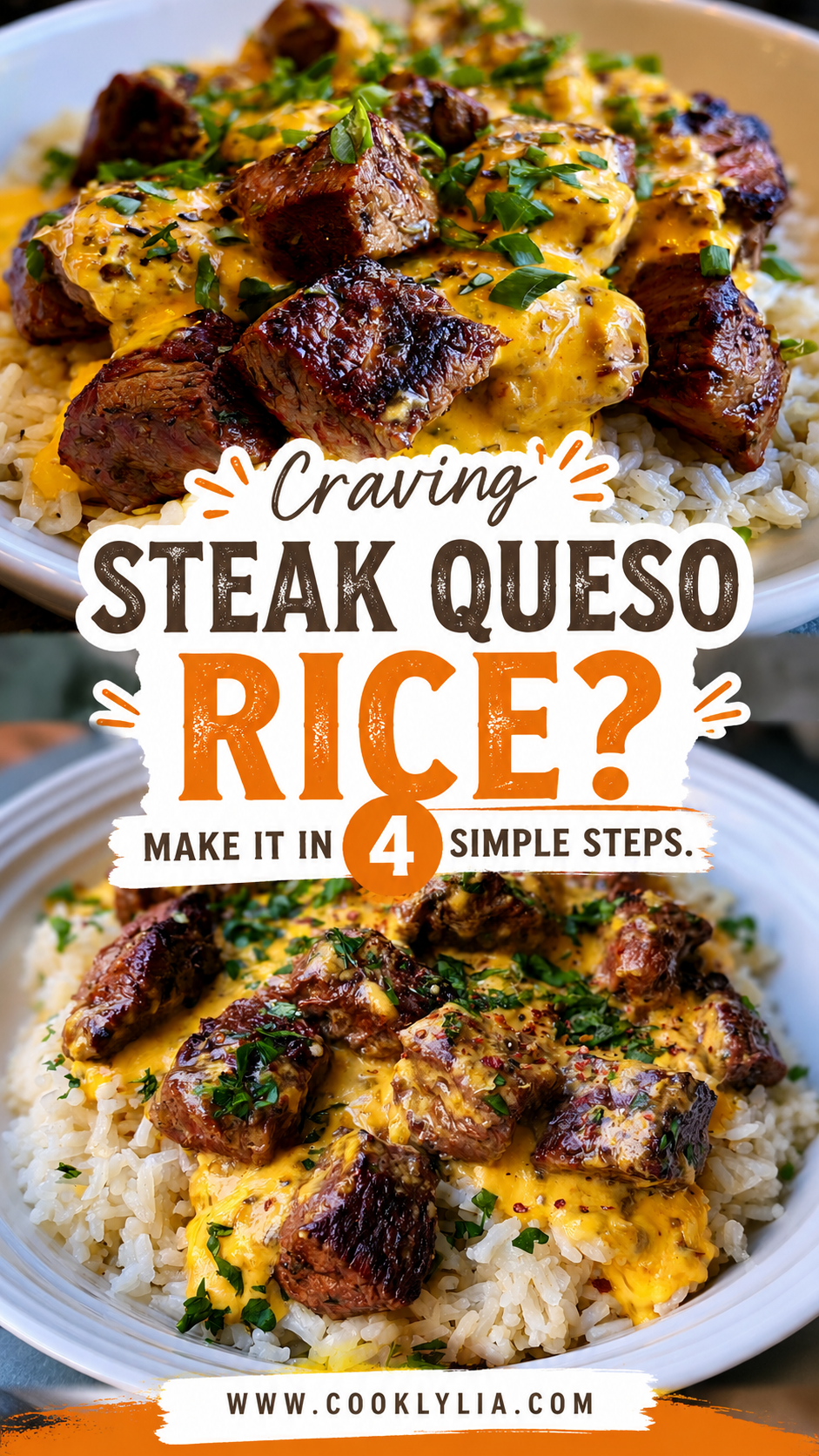 steak queso rice